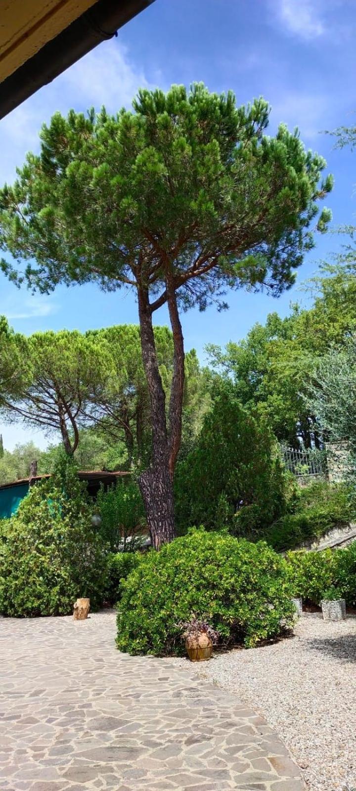 Villa Santa Margherita - La Suvera Ponte A Bozzone Exterior photo