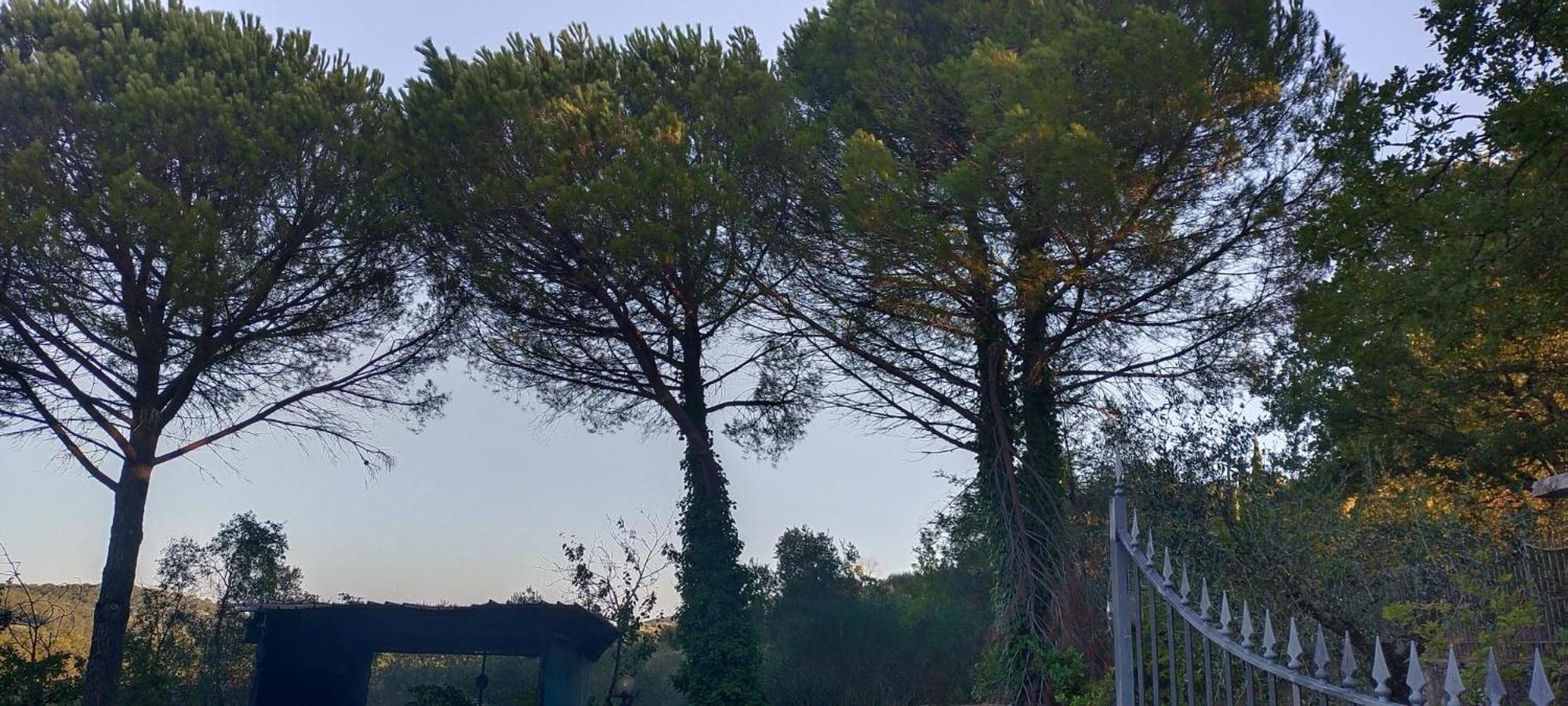 Villa Santa Margherita - La Suvera Ponte A Bozzone Exterior photo